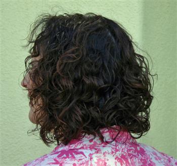 back-blog-curls.jpg