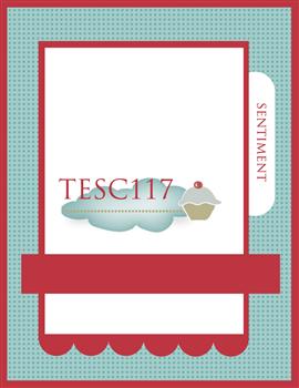 tesc117-custom.jpg